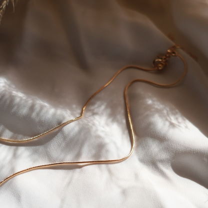 Spirit Chain Necklace